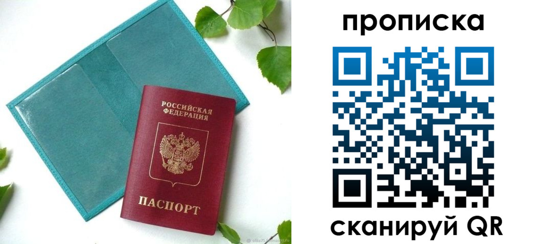 прописка штамп в Новозыбкове